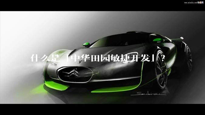 什么是「中华田园敏捷开发」？