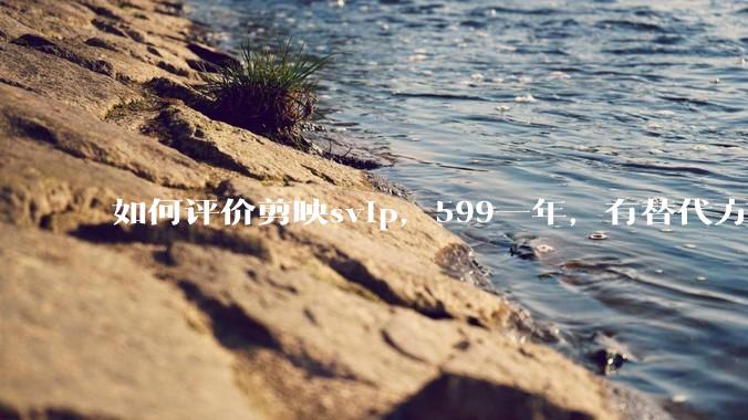 如何评价剪映svip，599一年，有替代方案吗？