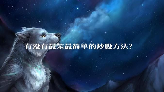 有没有最笨最简单的炒股方法？