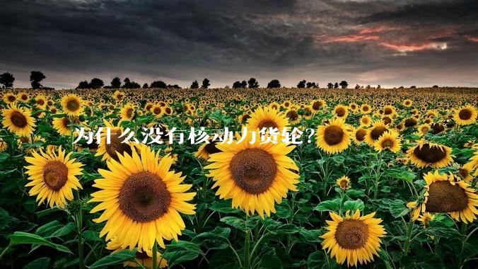 为什么没有核动力货轮？