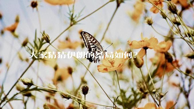 大家猜猜伊朗的结局如何？