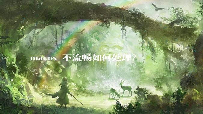 macos 不流畅如何处理？