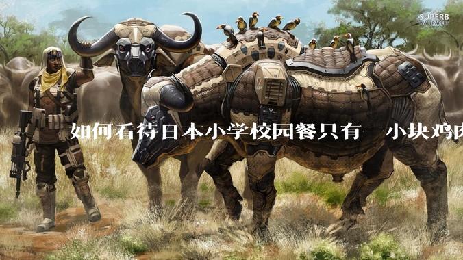 如何看待日本小学校园餐只有一小块鸡肉？